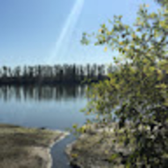 Lizzie and her girls - Picture 1 of 1